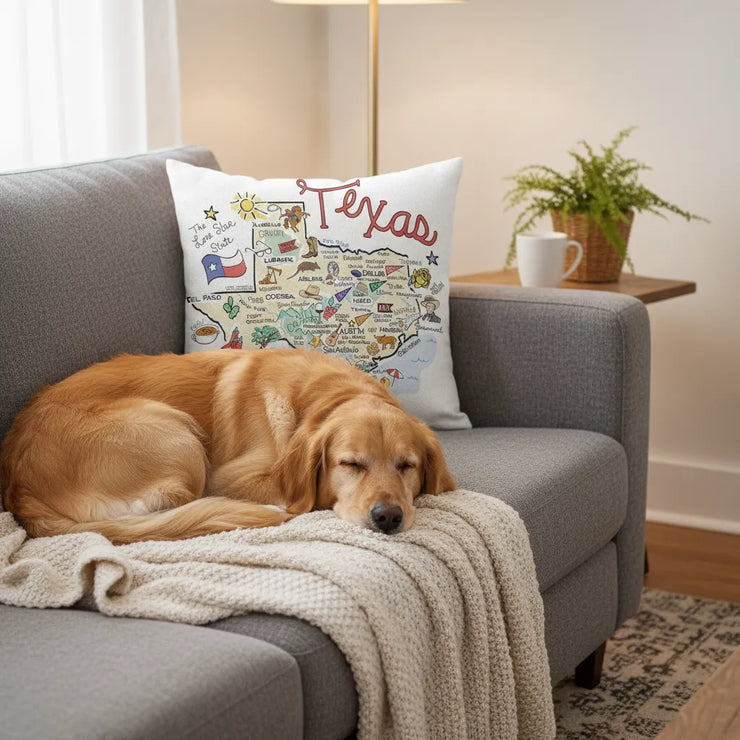 Texas Map Pillow