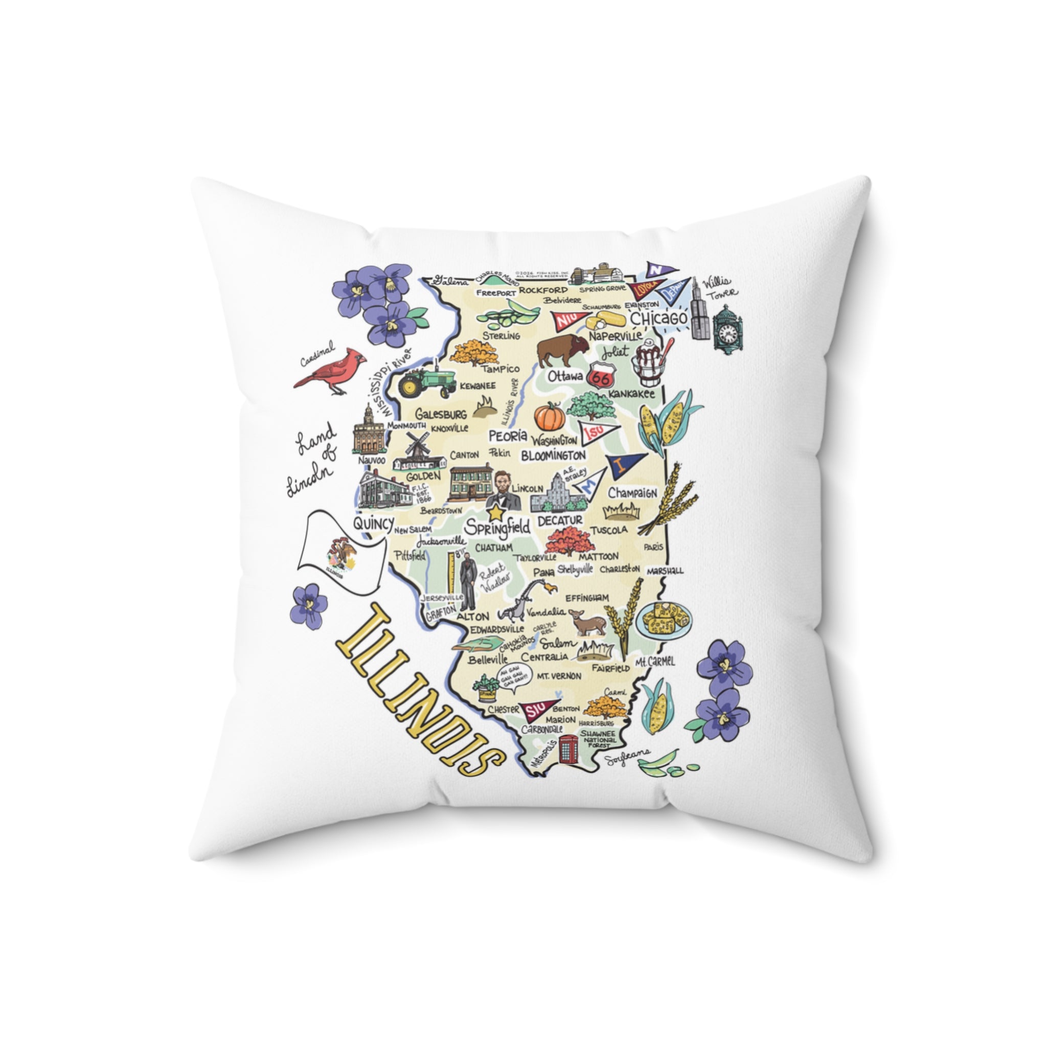 Illinois Map Pillow