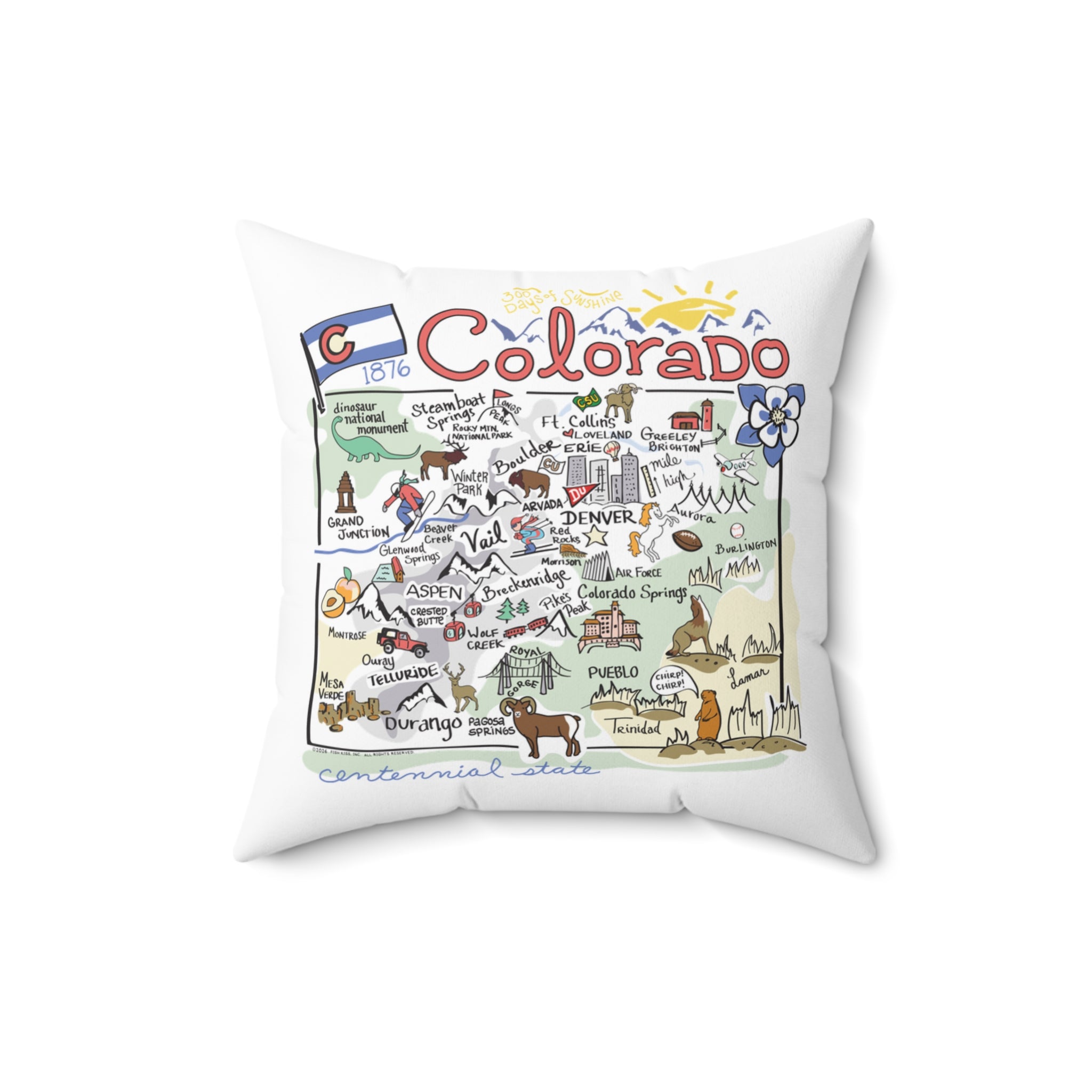 State Map Pillow