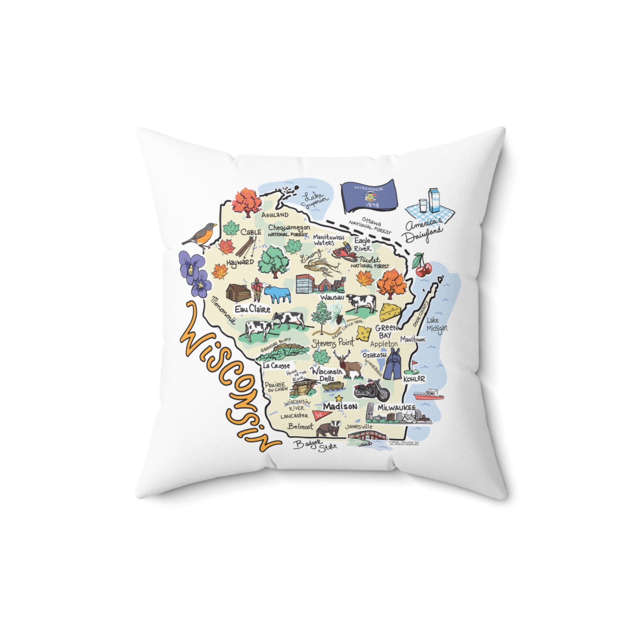 State Map Pillow