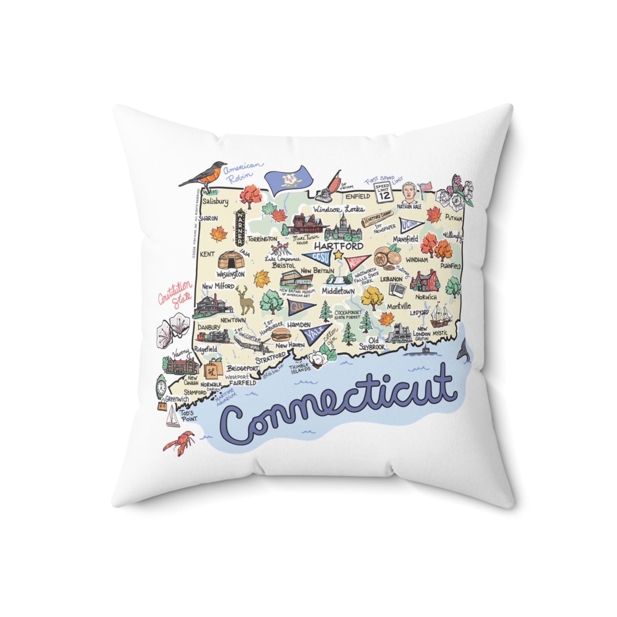 Connecticut Map Pillow