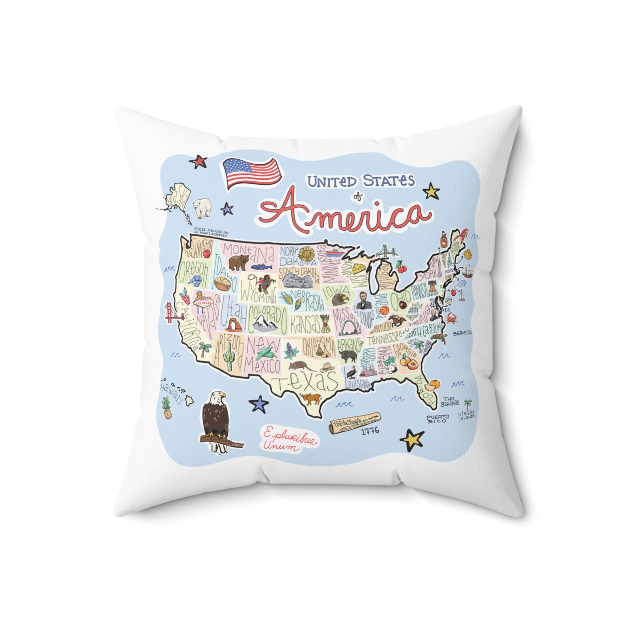 America Map Pillow
