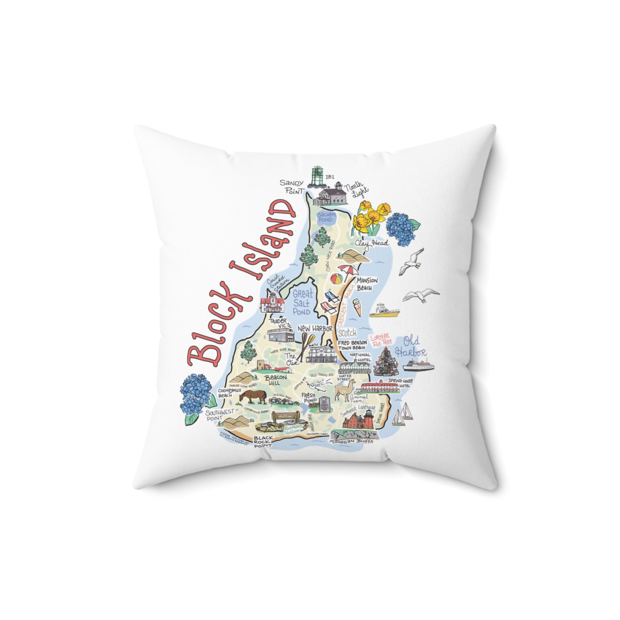 State Map Pillow