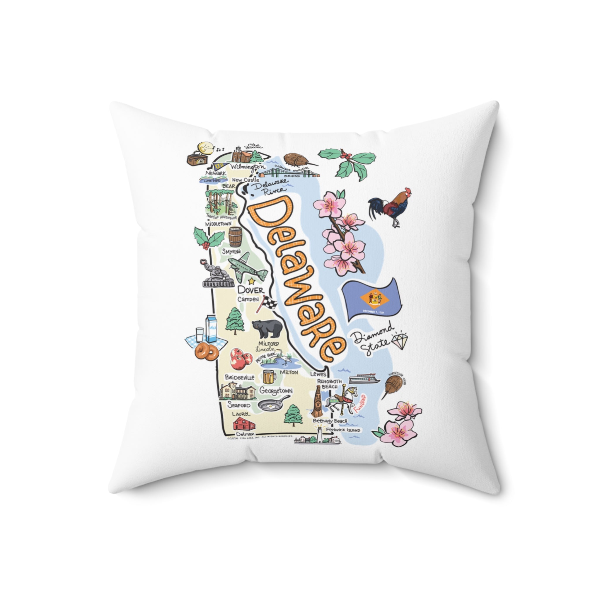 Delaware Map Pillow