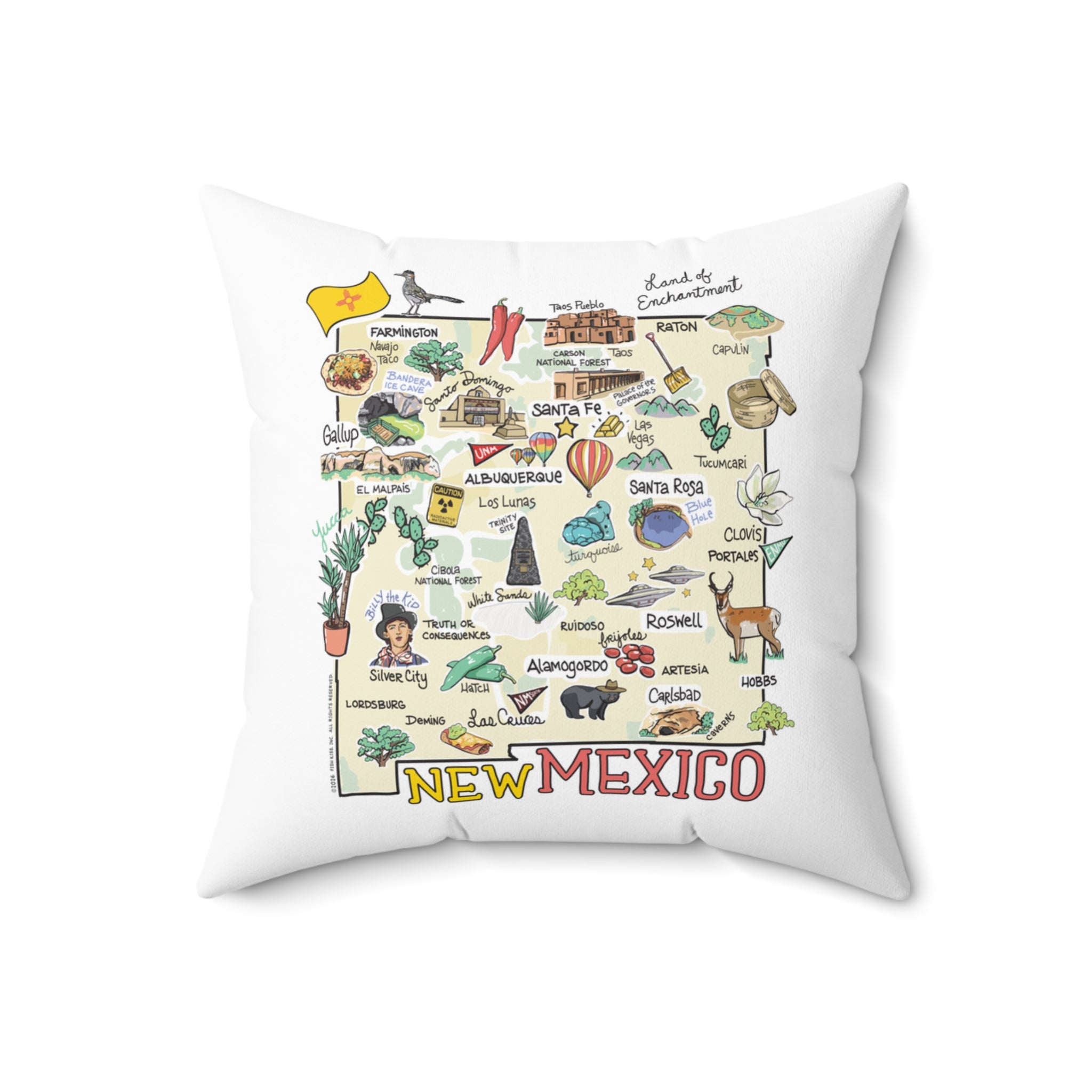 New Mexico Map Pillow