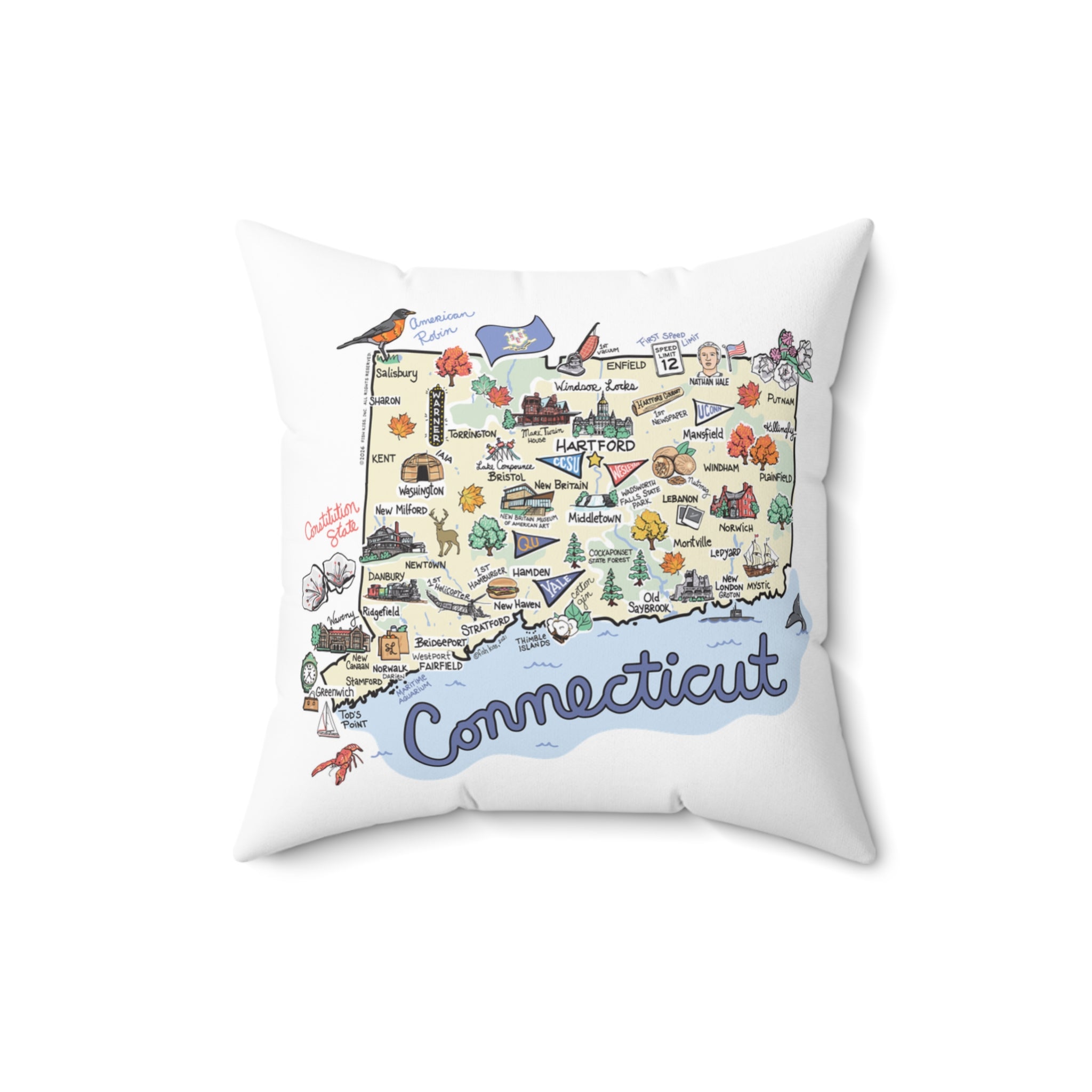 State Map Pillow