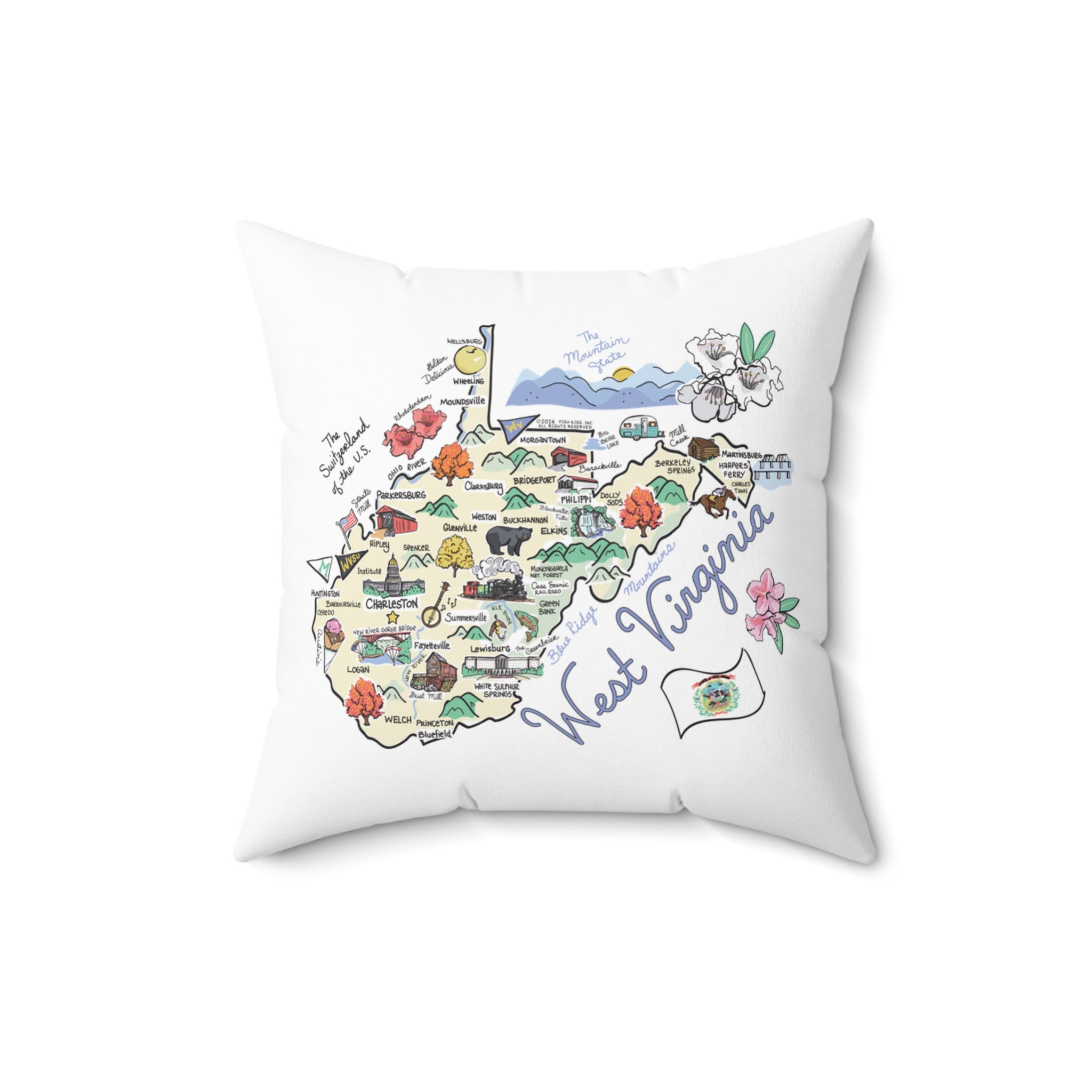 State Map Pillow