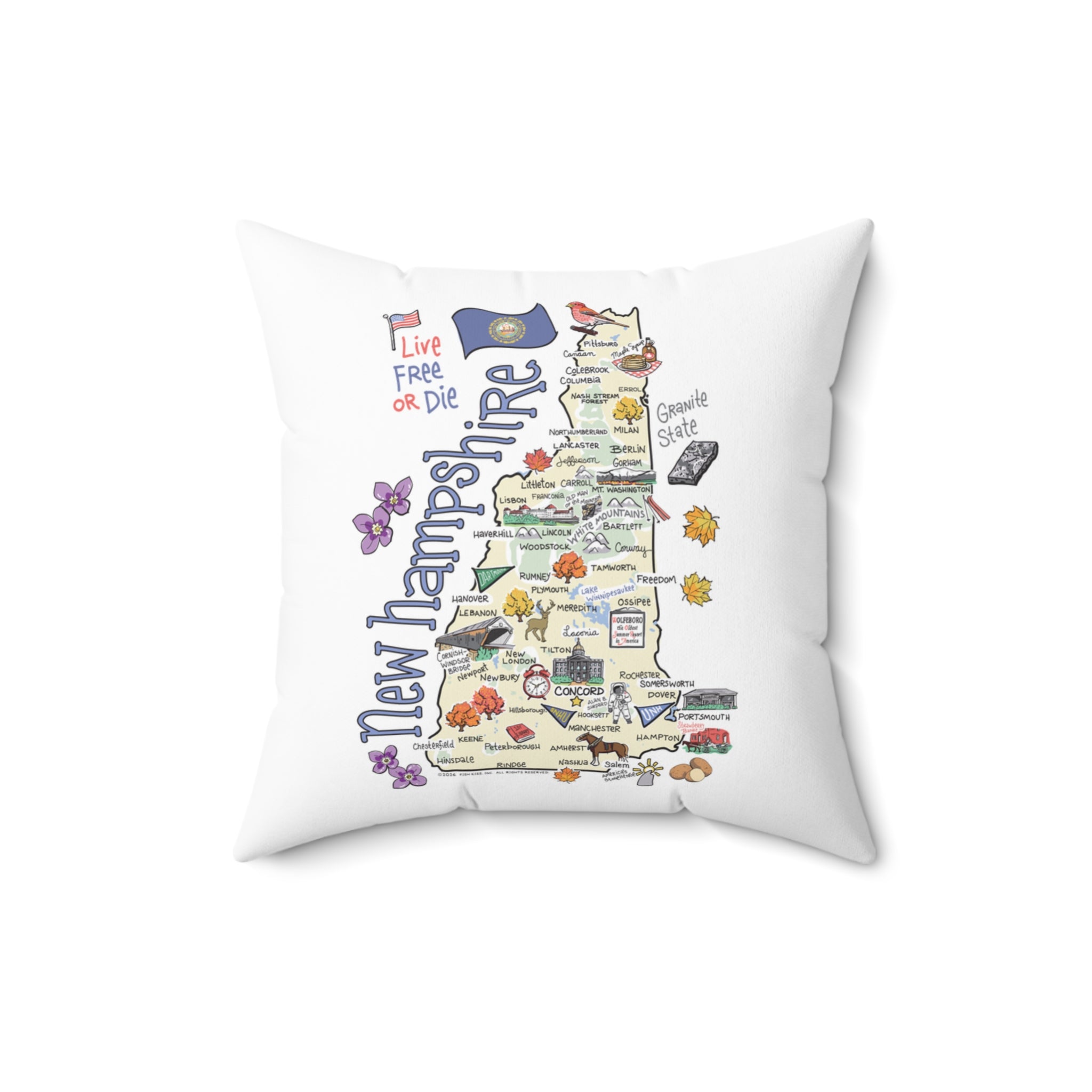 State Map Pillow