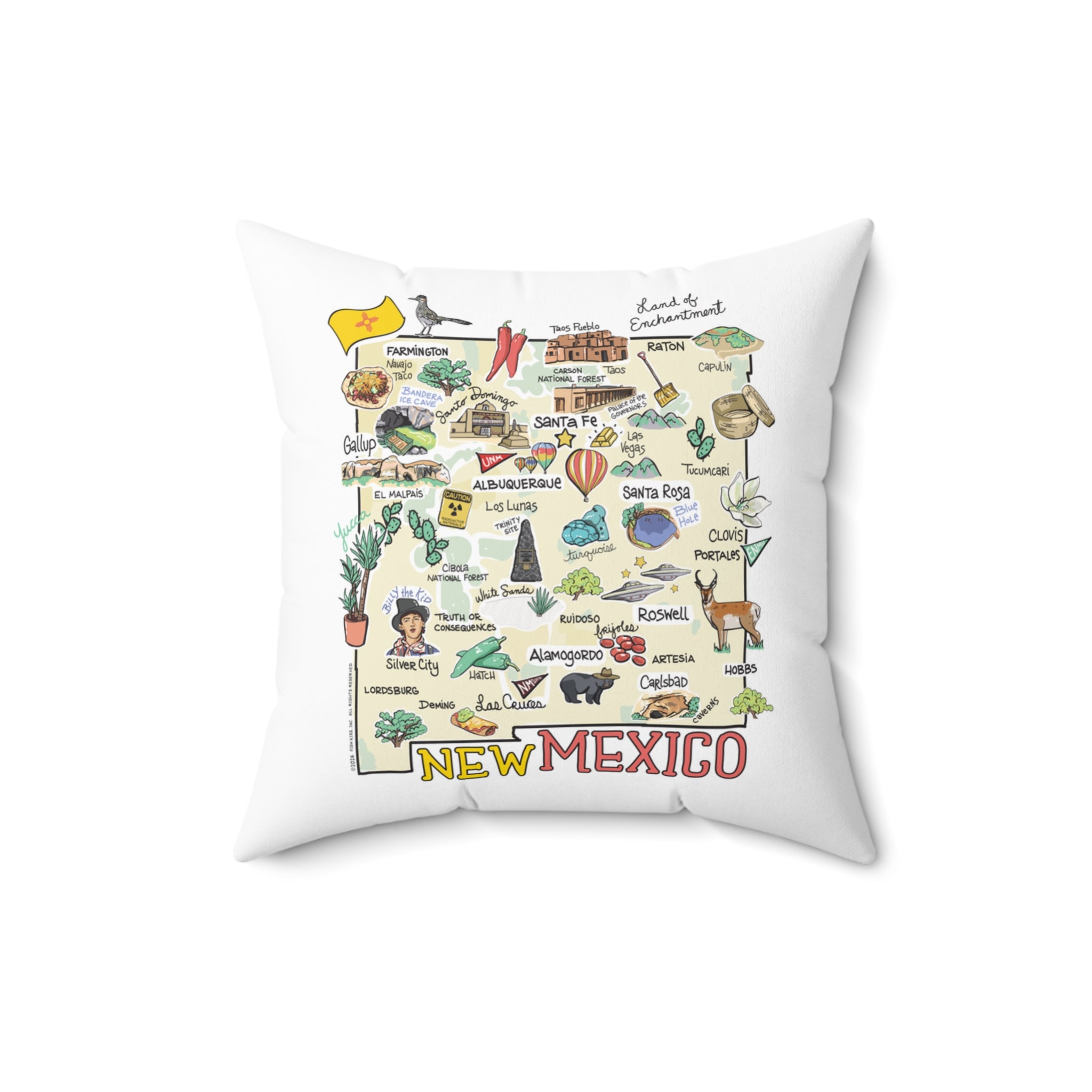 State Map Pillow