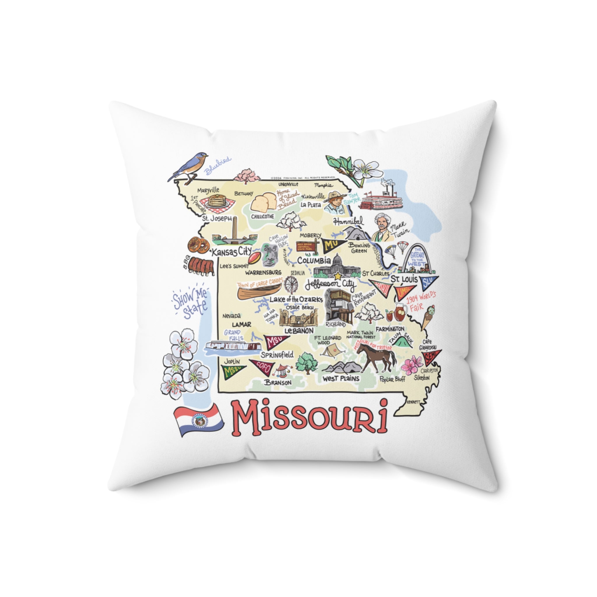 Missouri Map Pillow