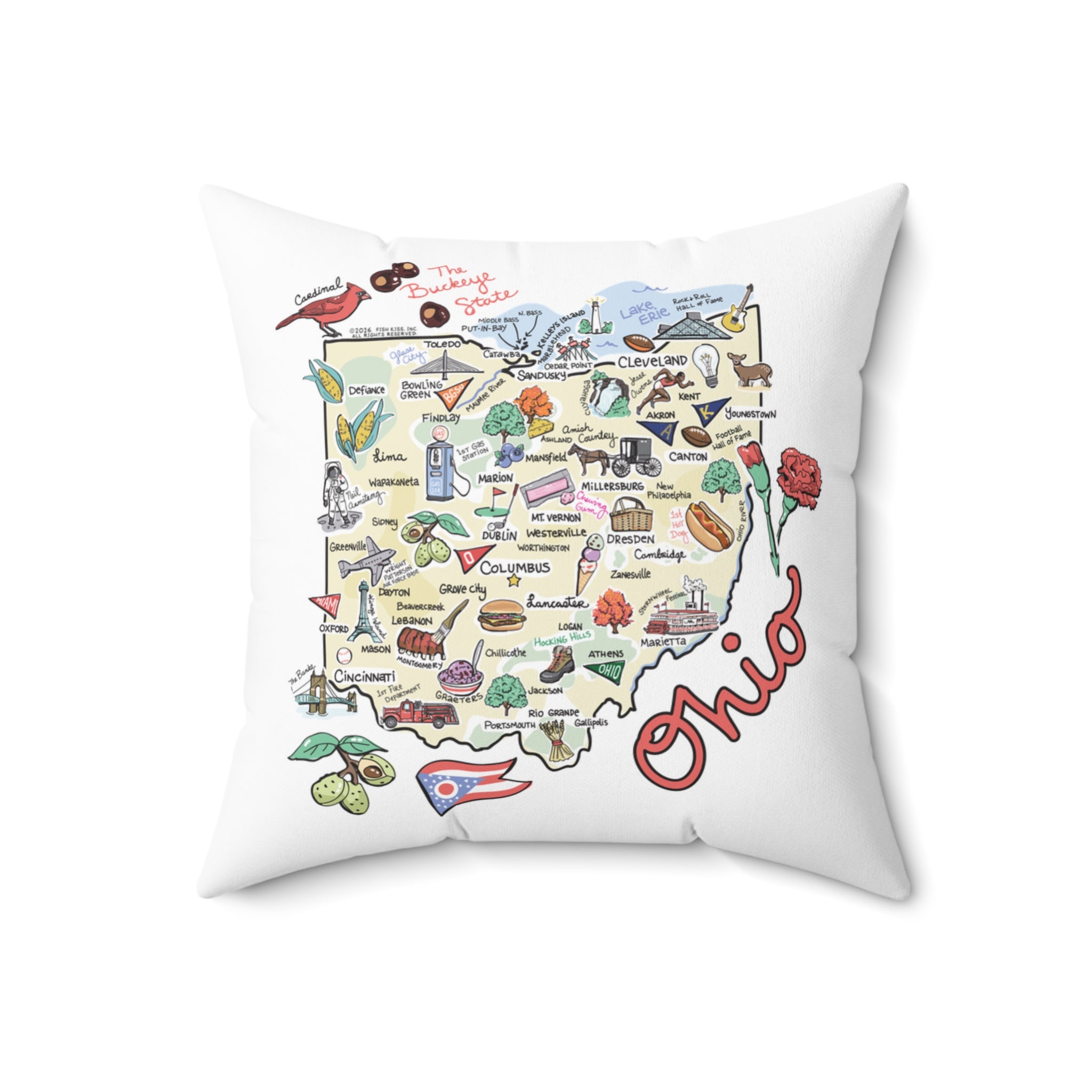 Ohio Map Pillow